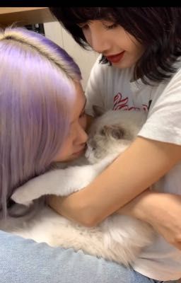 [Lichaeng] Ex-Roommate Is Now My Cat