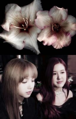 [LiChaeng]    Hoa Ly Trắng 
