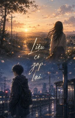 Liệu có gặp lại?
