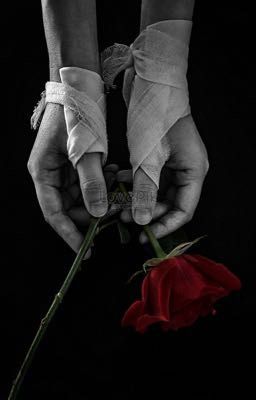 Liệu em có phải là người sai?