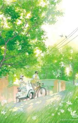 Liệu Ta Gặp Nhau Có Đúng Lúc