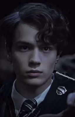 Limerence [Hogwart x Reader]