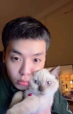 linh tinh