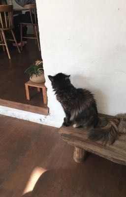 linhrio ₊˚chuyện 