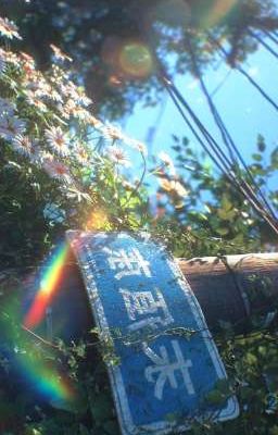 (linhrio) love story