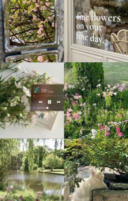 [LinhRio]my love , my story