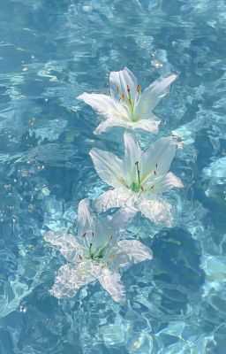 little witch Lily 1