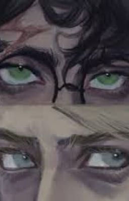 Living in a muggle world