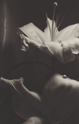 [Lohan Bot/ATSH 2] Lung Tung