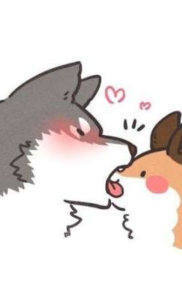 [Long Hùng] Sói Cáo