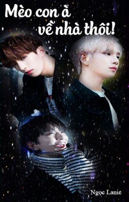 [Longfic] [Seoksoo] Mèo con à, về nhà thôi!