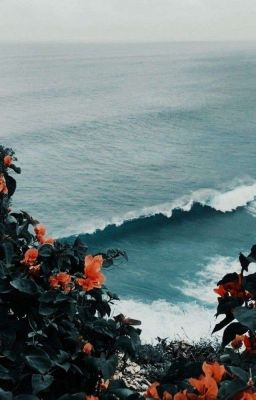 Lớp trưởng! Em muốn sao??