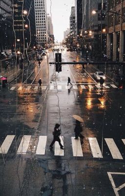 Lost.