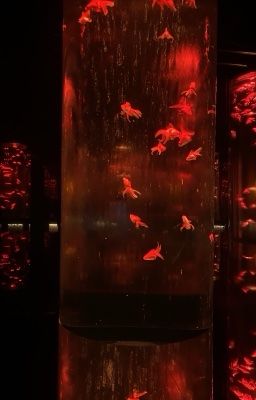 Love Chocolate [MasonB]