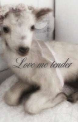 love me tender