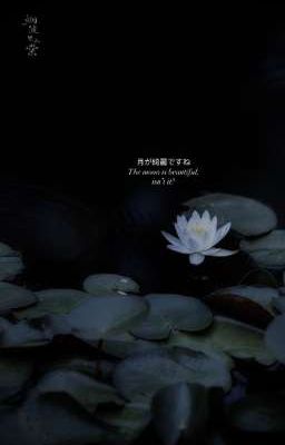 LỤA NGỌC VẤN TÂM