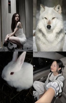 [ LyChi ][ Phương Ly x Phương Mỹ Chi]  Tổng Hợp Oneshot về chị Ly và em Chii