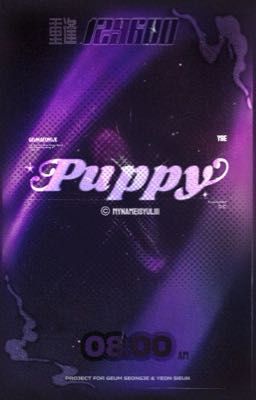 ❛ l重逢 - 8:00 ❜ puppy 