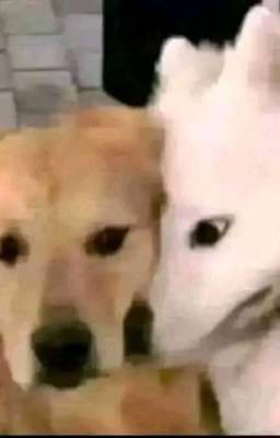 Má Lúm