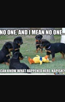 Mafia roleplay 
