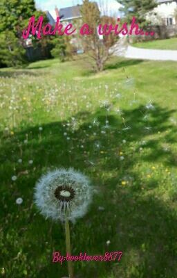 Make A Wish...