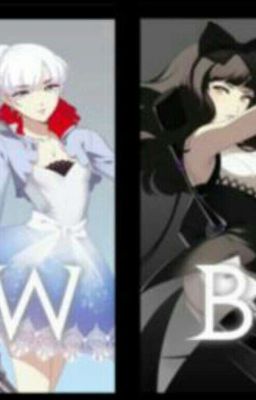 Male Reader X Ruby Rose A Rwby Fanfic