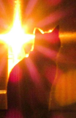 mansun | động lòng