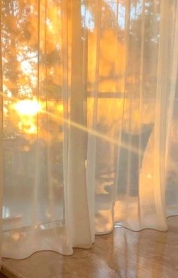 mansun ; hè trên khuy áo.