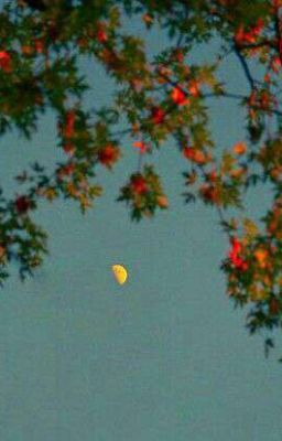 [Mansun] Thế Duyên