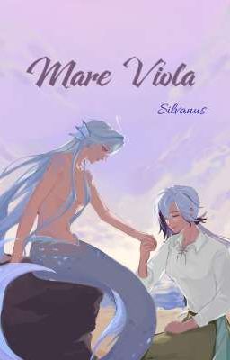 MARE VIOLA