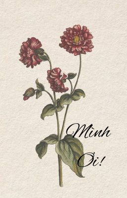 [marhoon] Mình Ơi!