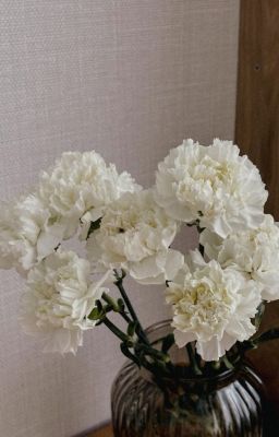 Marhoon - Mộng Thạch Tựa Lục