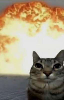 Marhoon |  textfic | Bắt đền 