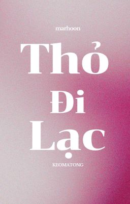 Marhoon | Thỏ Đi Lạc.