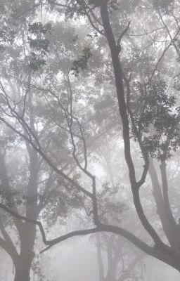 marhoonkeon | phía ánh sáng đang chờ.