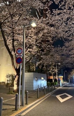 marjames ; late nights