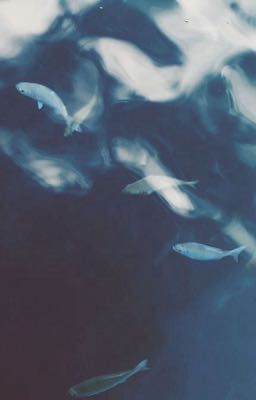 Marjames | Mộng