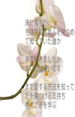 marjames 𓆝 (ex)ecution