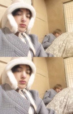 markeon ; hai con chó.