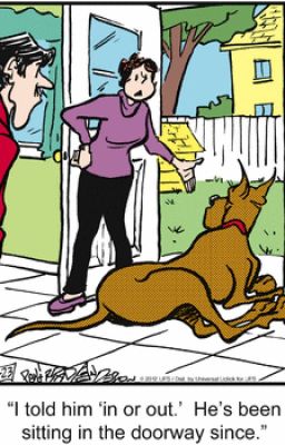 marmaduke