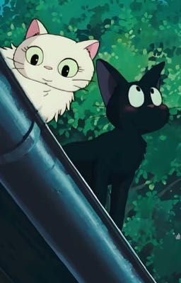 [ marseong ] quay đi quay lại 