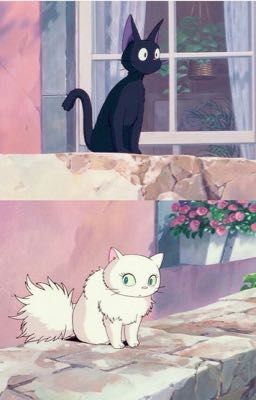 [ marseong ] sao martin không nhìn em?