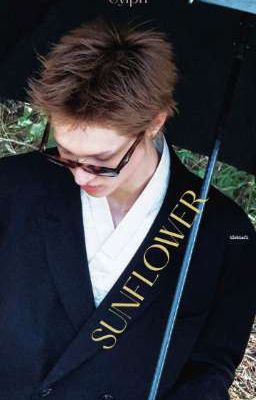 MARTIN || SUNFLOWER 
