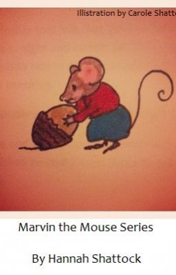 Marvin the Mouse Series