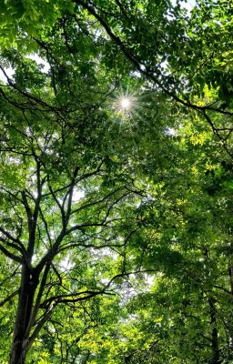 MasonB || Cậu Ấy Và Tôi ⋆⋅☆⋅⋆