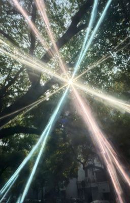 masonb ⁠⟡ chữa lành