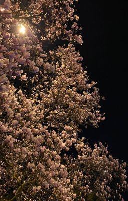 MasonB•Góc Chụp