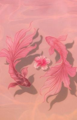 Masonb || Hai lần yêu
