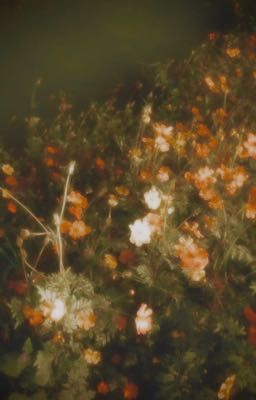 masonb | nến