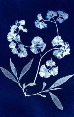masonb ☆ ngỏ lời.
